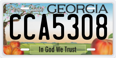 GA license plate CCA5308