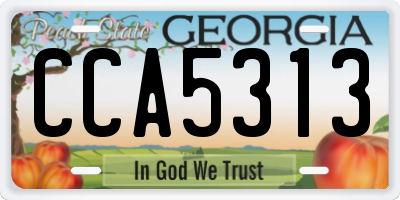 GA license plate CCA5313
