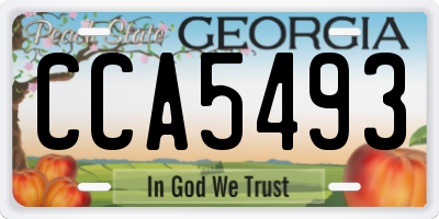 GA license plate CCA5493