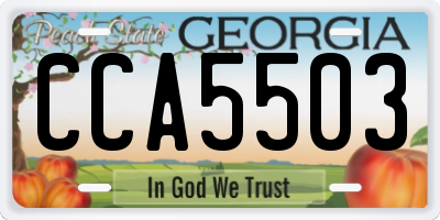 GA license plate CCA5503