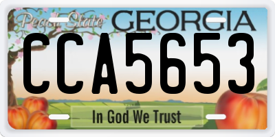GA license plate CCA5653