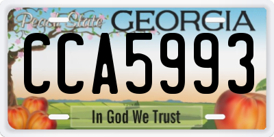 GA license plate CCA5993