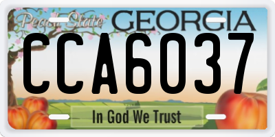 GA license plate CCA6037