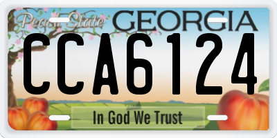 GA license plate CCA6124
