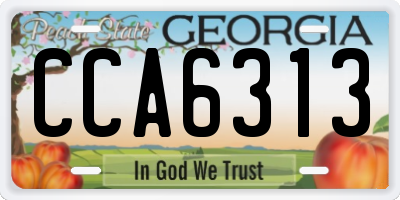 GA license plate CCA6313