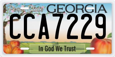 GA license plate CCA7229