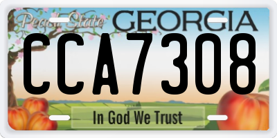 GA license plate CCA7308