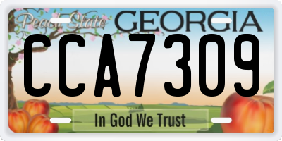 GA license plate CCA7309