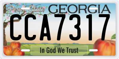 GA license plate CCA7317