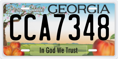 GA license plate CCA7348