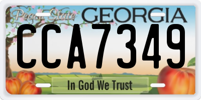 GA license plate CCA7349