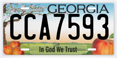GA license plate CCA7593