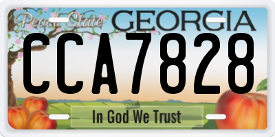 GA license plate CCA7828