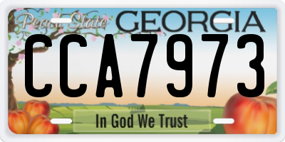 GA license plate CCA7973