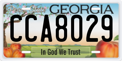 GA license plate CCA8029