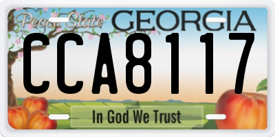 GA license plate CCA8117