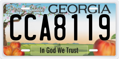 GA license plate CCA8119