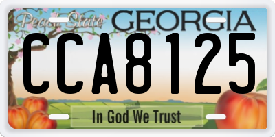 GA license plate CCA8125