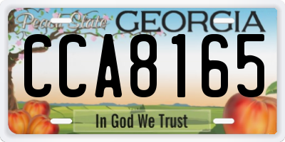 GA license plate CCA8165
