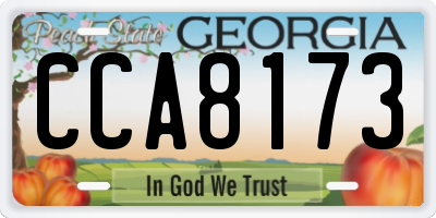 GA license plate CCA8173
