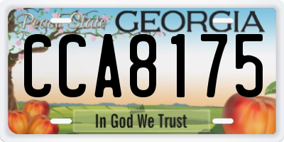 GA license plate CCA8175