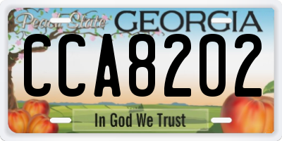 GA license plate CCA8202