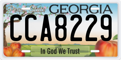 GA license plate CCA8229