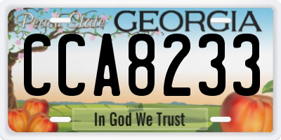 GA license plate CCA8233