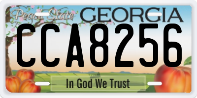 GA license plate CCA8256