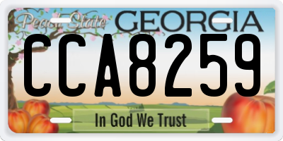 GA license plate CCA8259