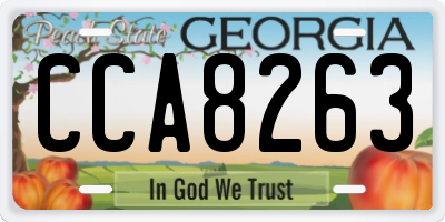 GA license plate CCA8263