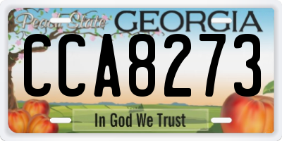 GA license plate CCA8273