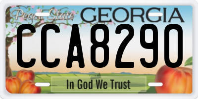 GA license plate CCA8290