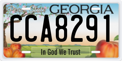 GA license plate CCA8291
