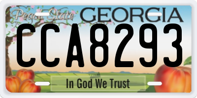 GA license plate CCA8293
