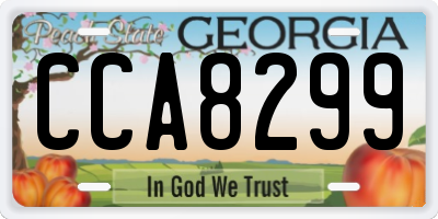 GA license plate CCA8299