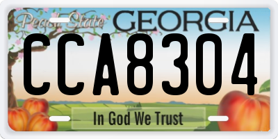 GA license plate CCA8304