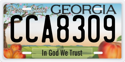 GA license plate CCA8309