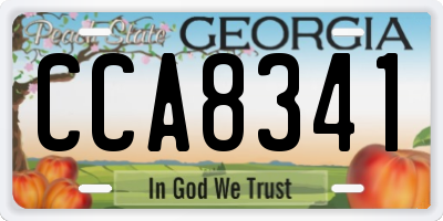 GA license plate CCA8341