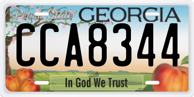 GA license plate CCA8344