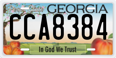 GA license plate CCA8384