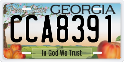 GA license plate CCA8391