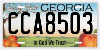 GA license plate CCA8503