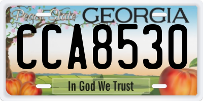 GA license plate CCA8530