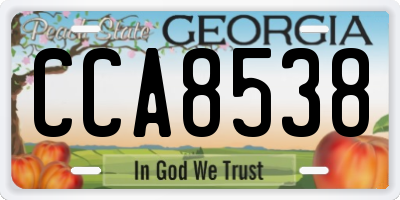 GA license plate CCA8538