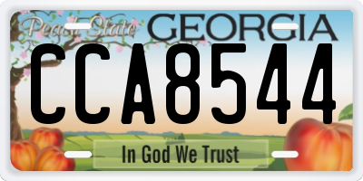 GA license plate CCA8544