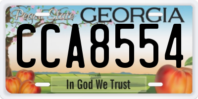 GA license plate CCA8554