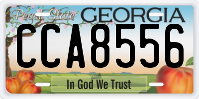 GA license plate CCA8556