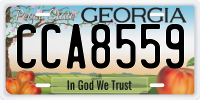GA license plate CCA8559