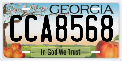 GA license plate CCA8568